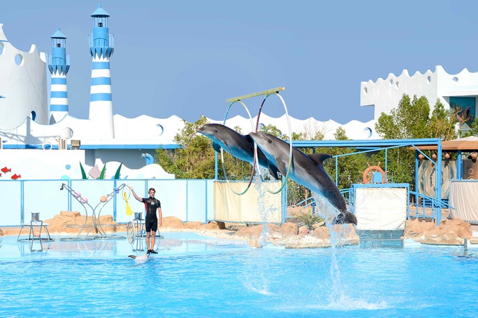 DOLPHIN SWIMMING PACKAGE