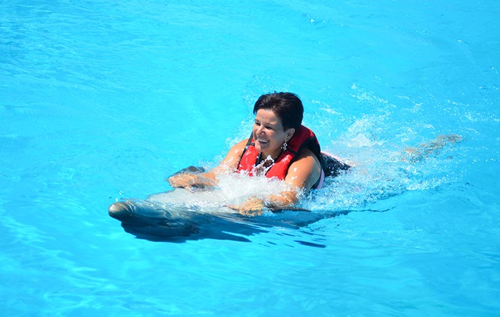 DOLPHIN SWIMMING PACKAGE