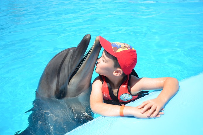 DOLPHIN PHOTOS PACKAGE